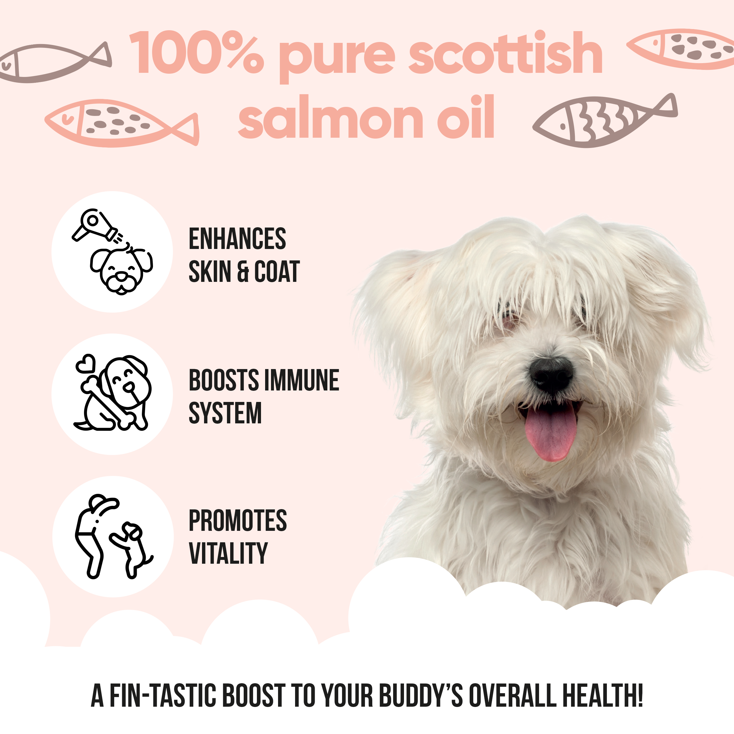 Scottish Salmon Oil for Dogs & Cats by Buddycare