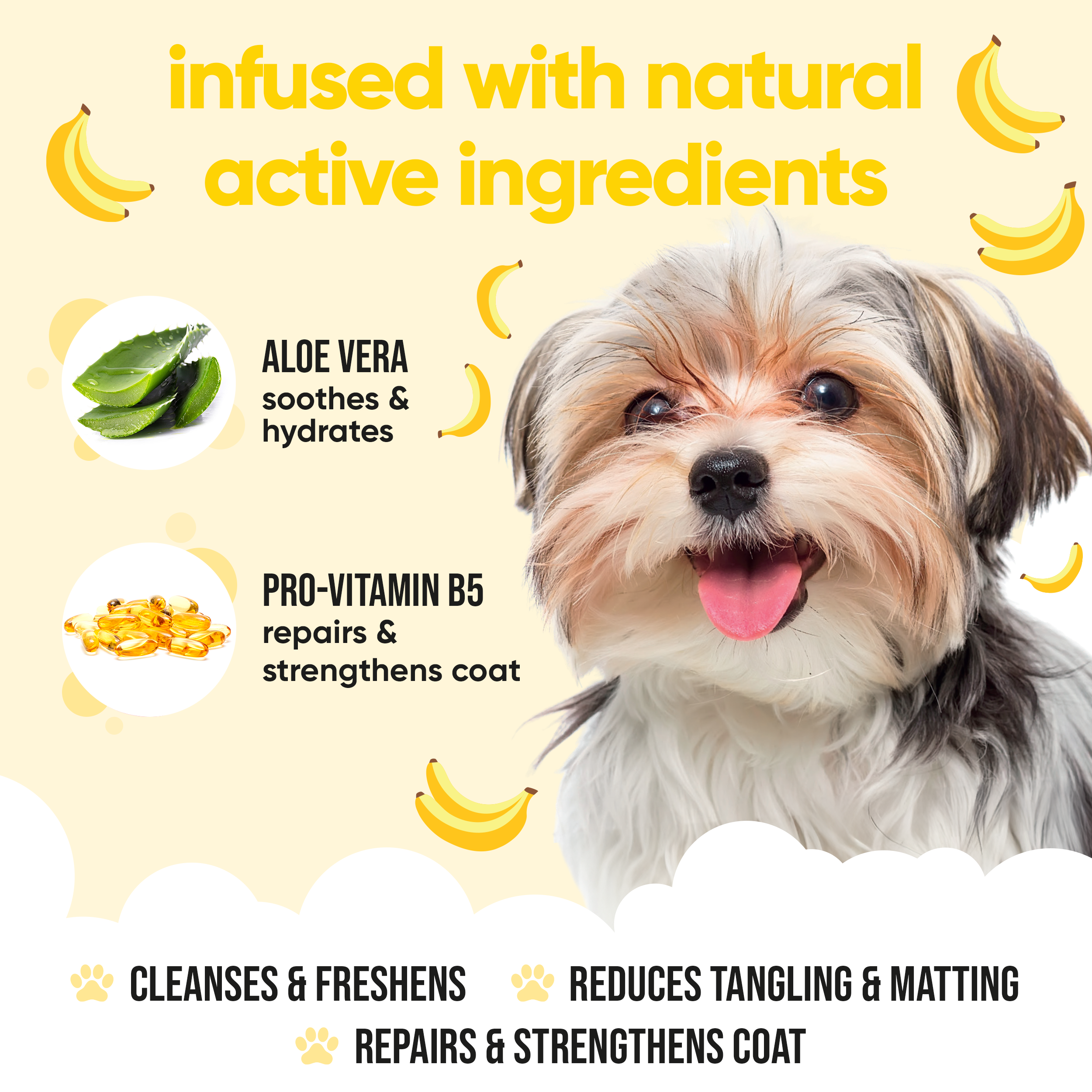 Banana Dog Shampoo by Buddycare