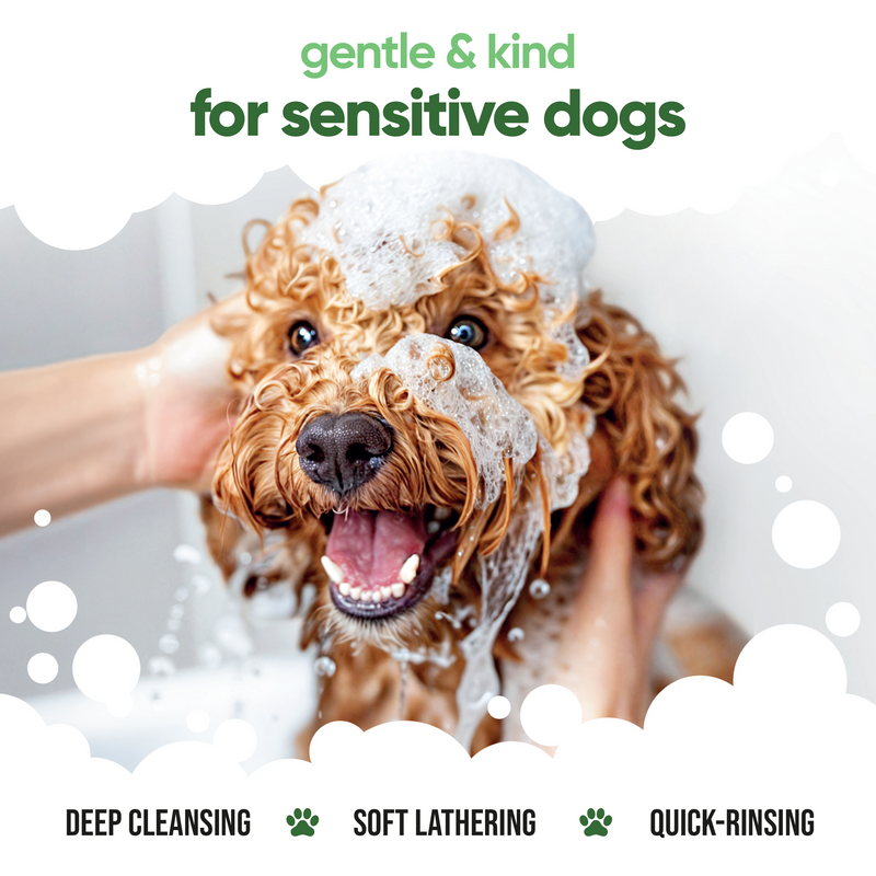 Shed Control Aloe & Lemongrass Dog Shampoo