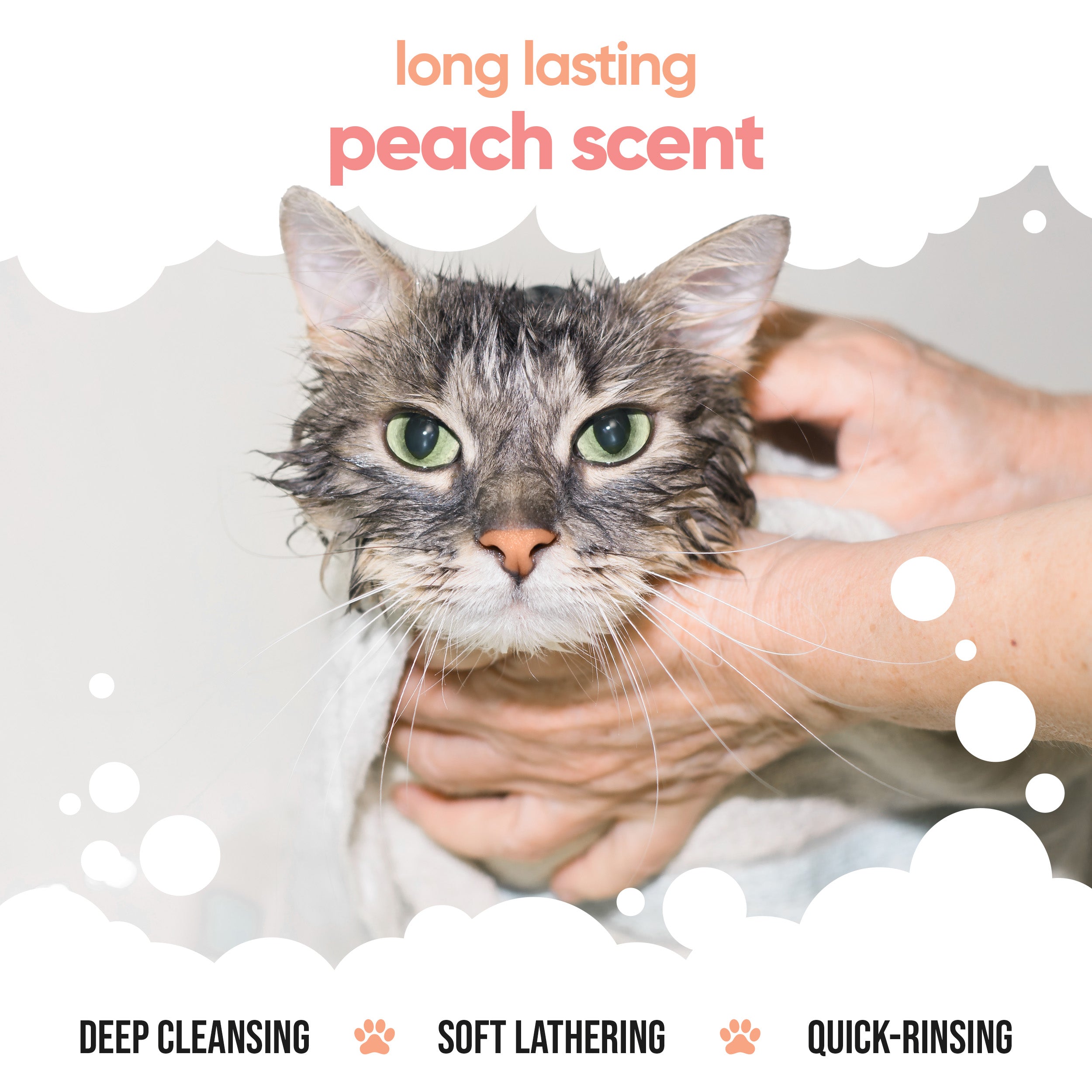 Peach Cat Shampoo by Buddycare