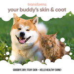 Scottish Salmon Oil for Dogs & Cats by Buddycare