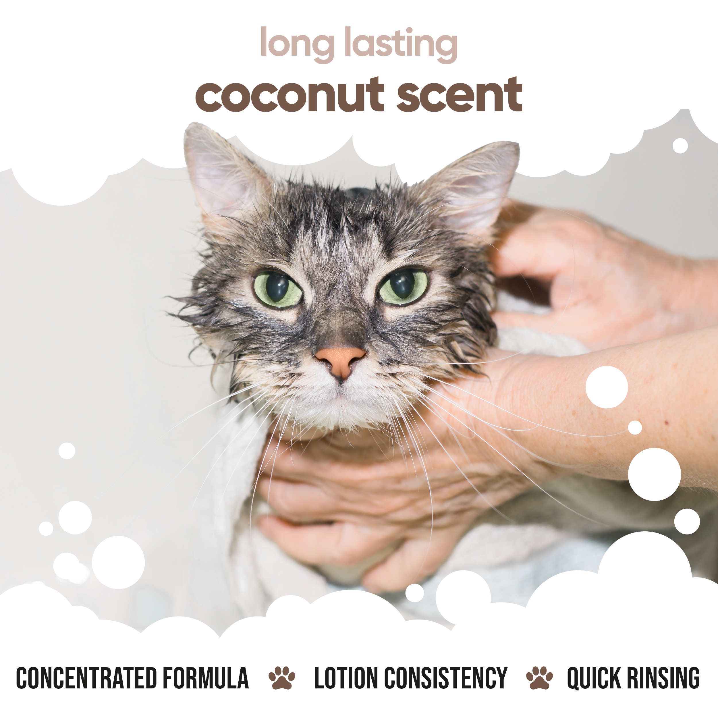 Coconut Cat Conditioner by Buddycare