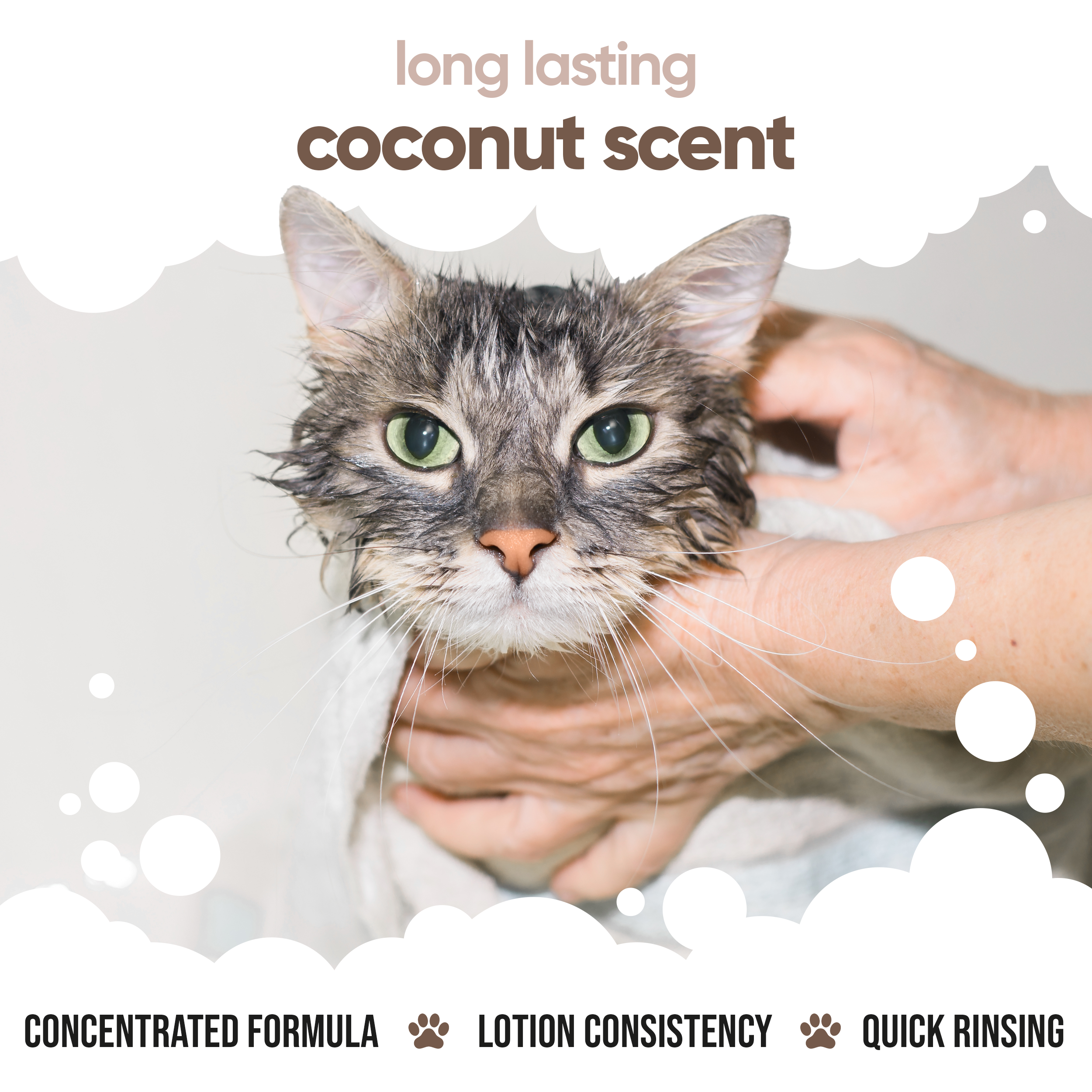 Coconut Cat Conditioner