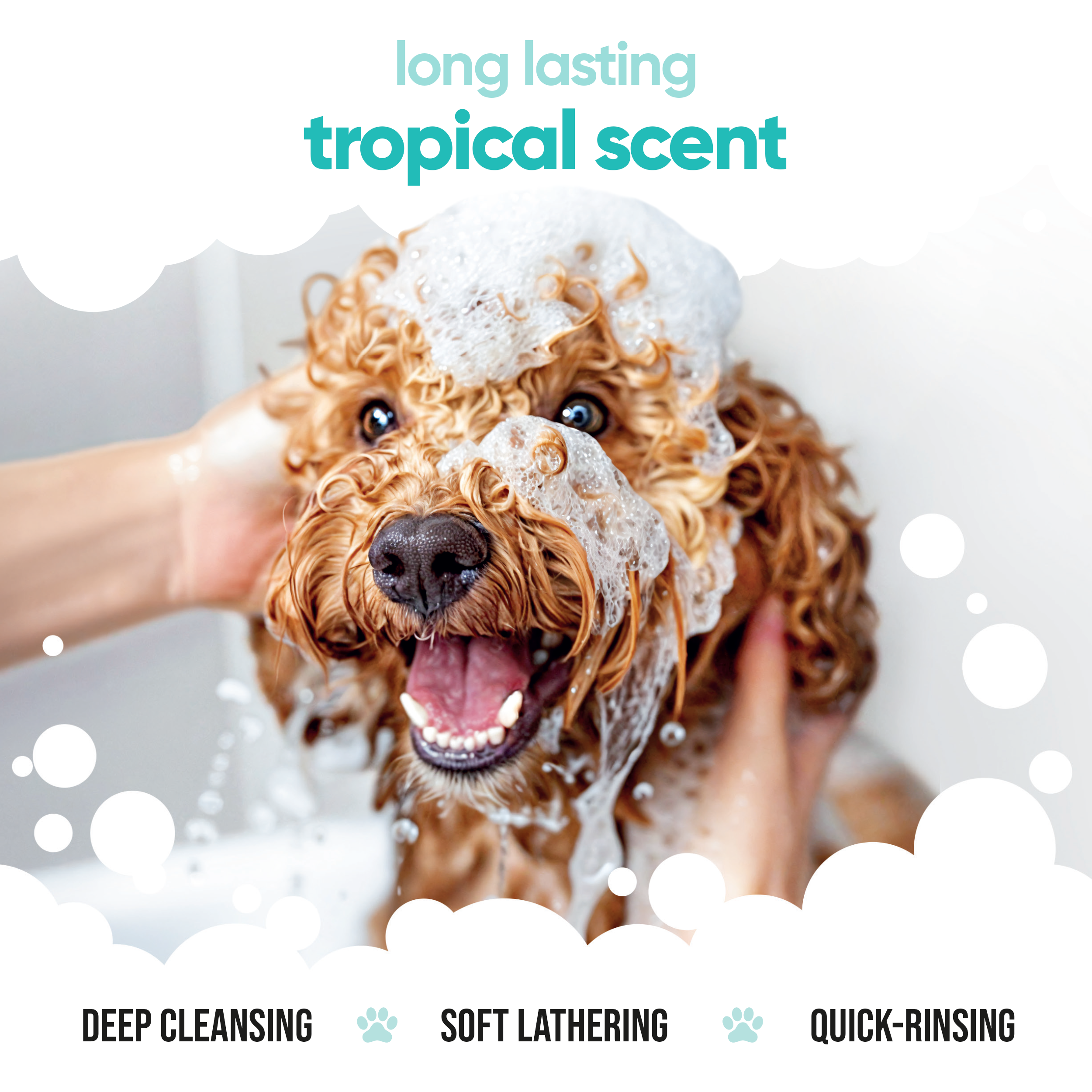Tropical Dog Shampoo by Buddycare