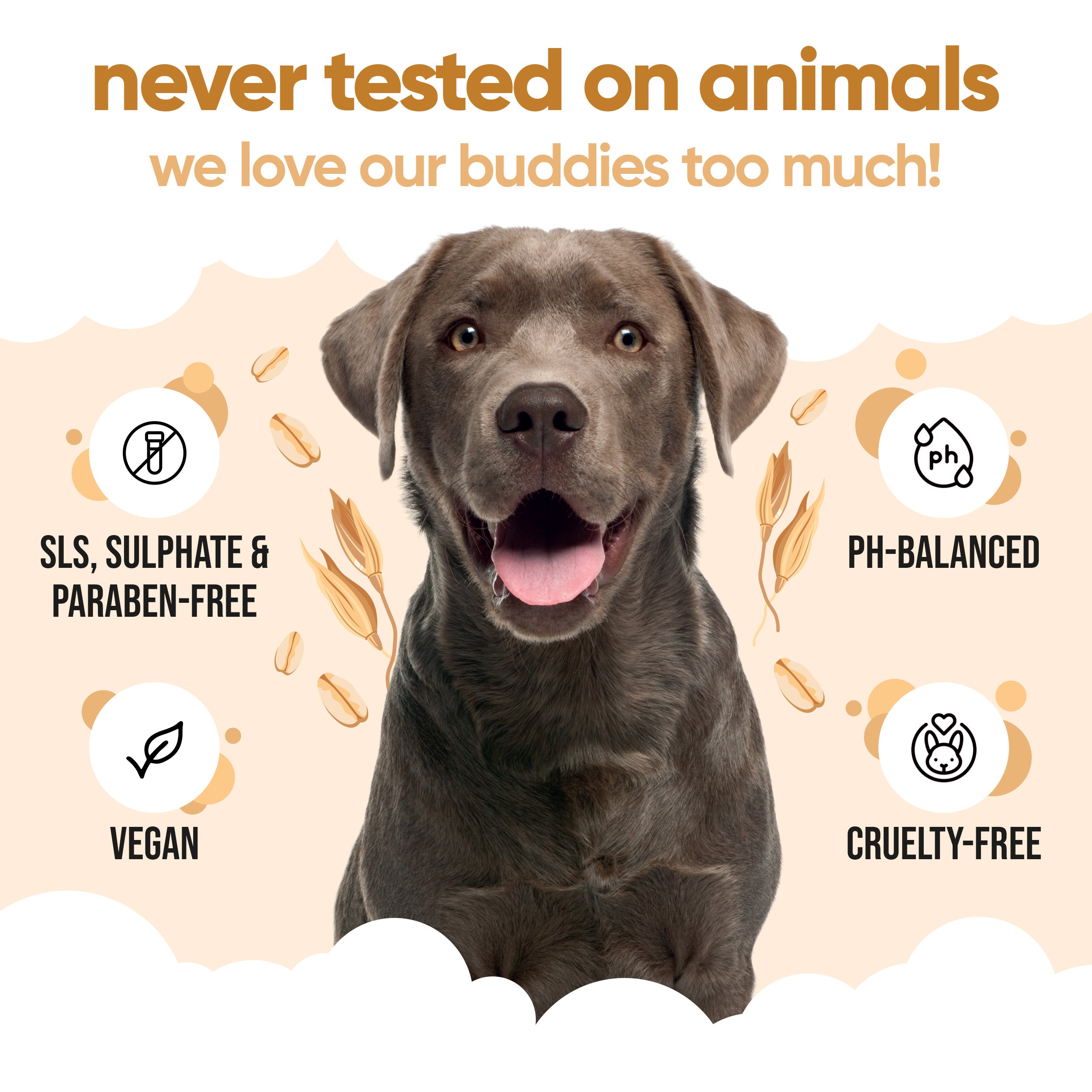 Oatmeal Dog Shampoo by Buddycare