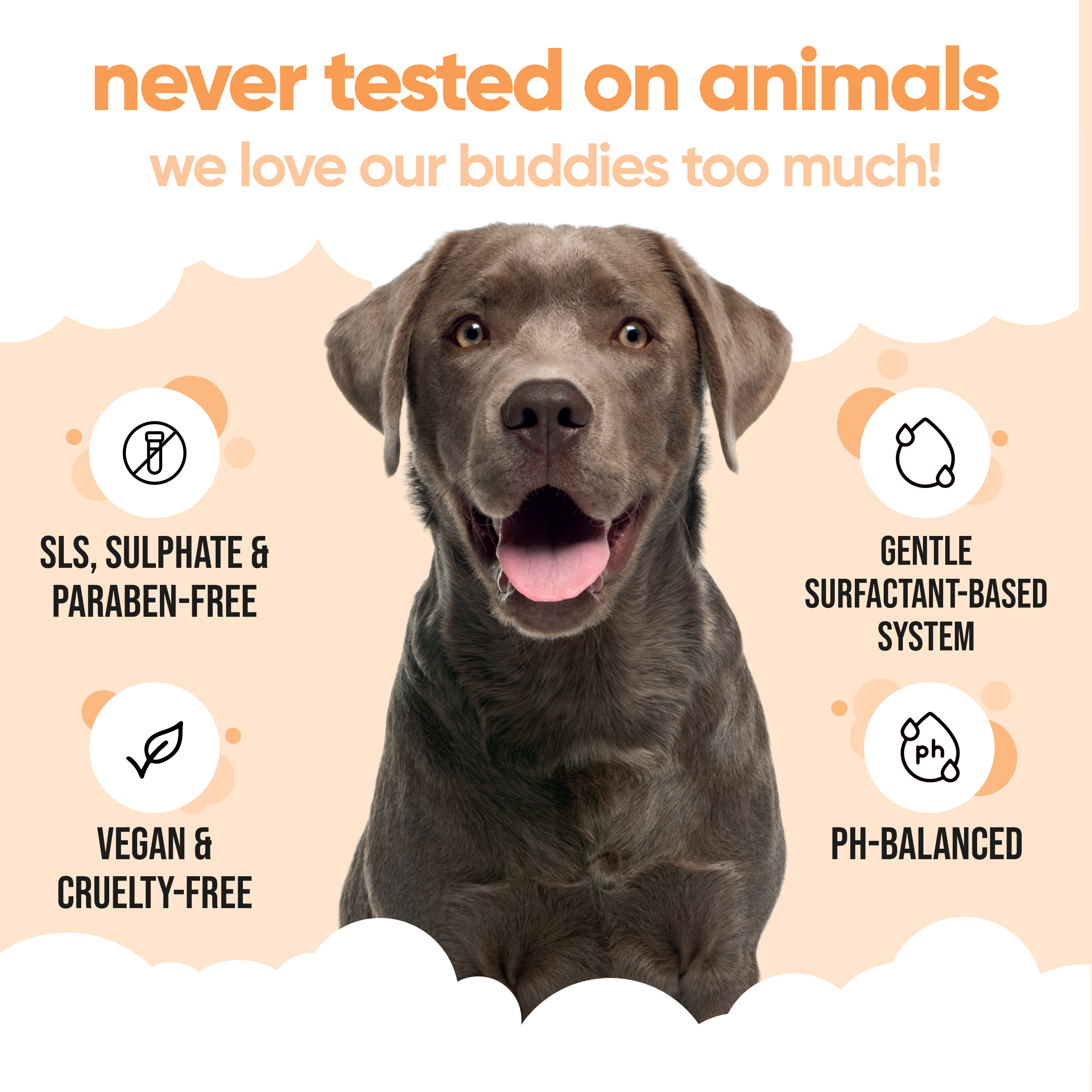 Flea & Tick Dog Shampoo