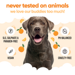 Orange Dog Shampoo