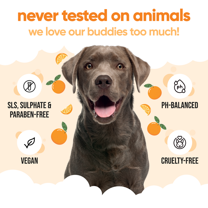 Orange Dog Shampoo