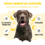 Banana Dog Shampoo by Buddycare