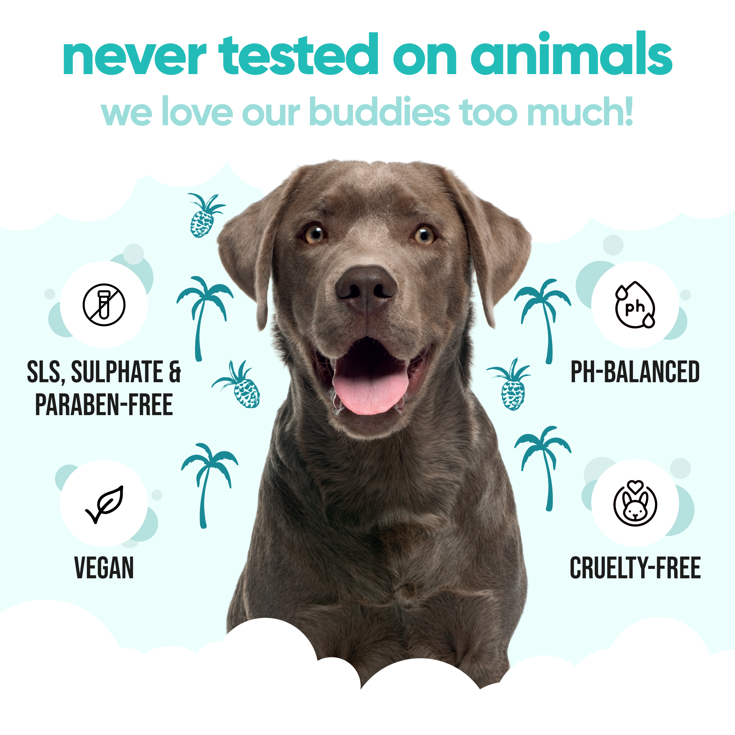 Tropical Dog Shampoo by Buddycare