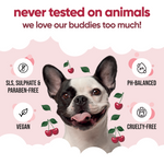 Black Cherry Dog Conditioner by Buddycare