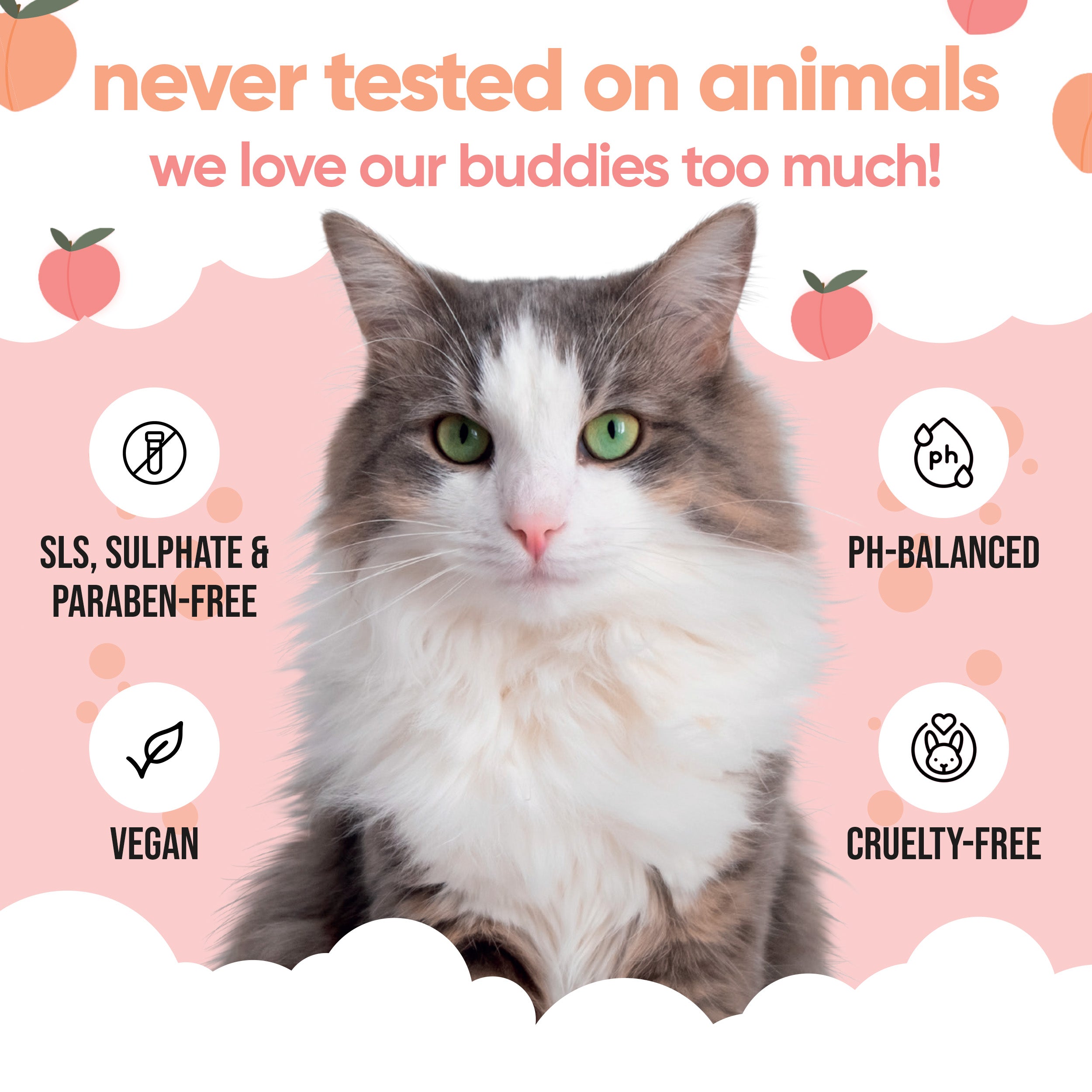 Peach Cat Shampoo by Buddycare