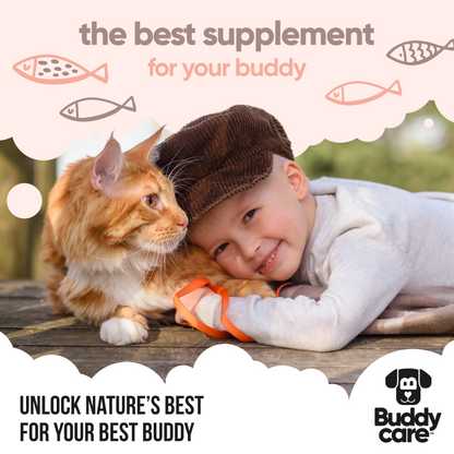 Scottish Salmon Oil for Dogs &amp; Cats by Buddycare