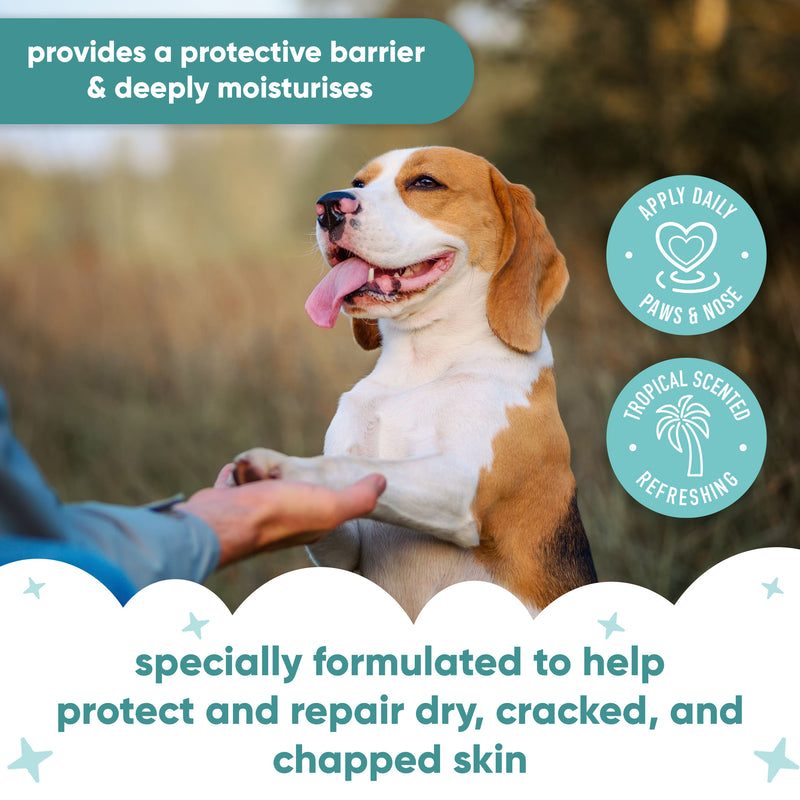 Tropical Paw & Nose Balm