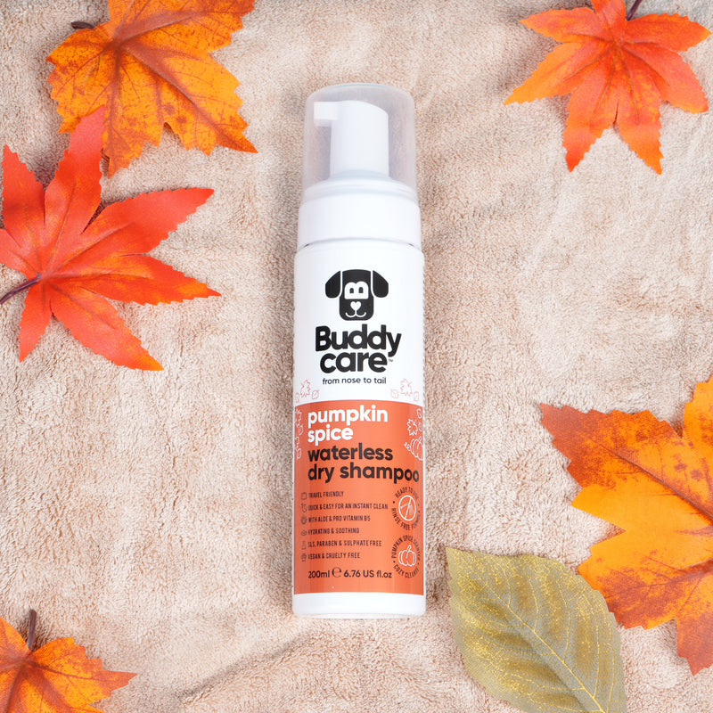 Pumpkin Spice Waterless Dry Dog Shampoo