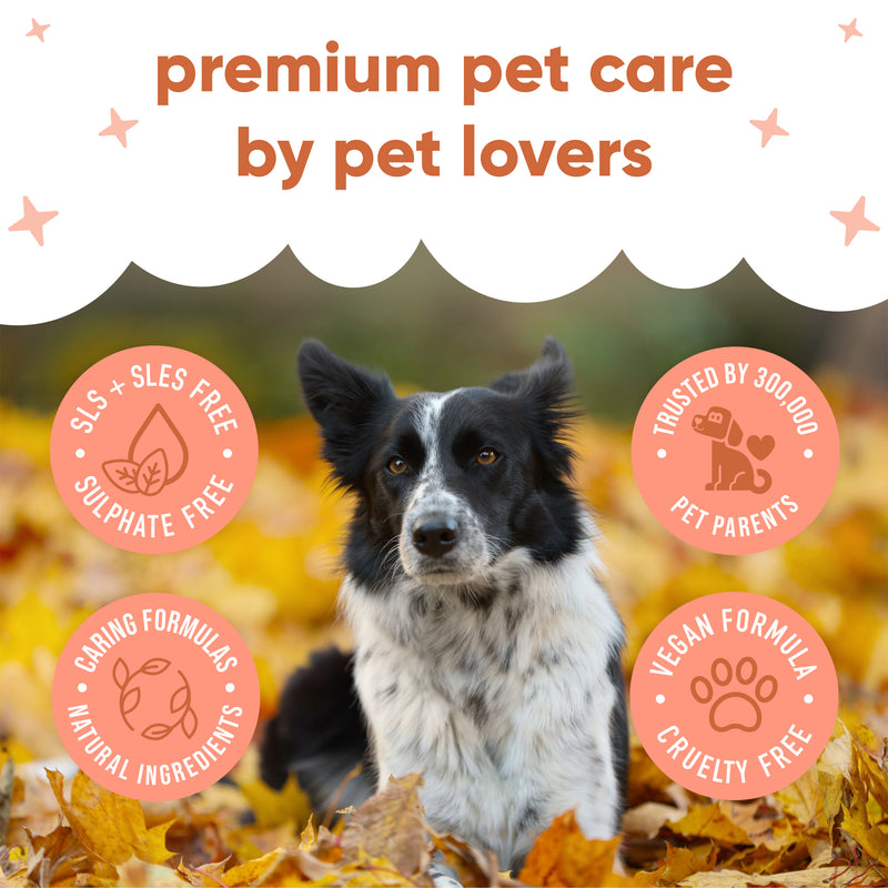 Pumpkin Spice Dog Shampoo