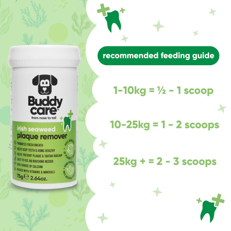 Irish Seaweed Plaque Remover