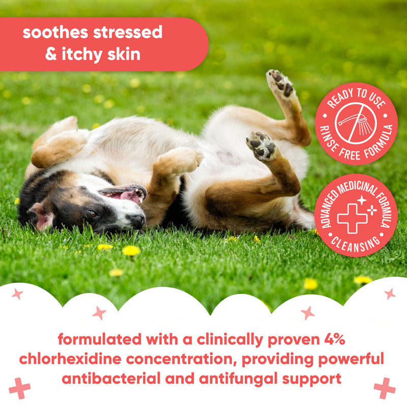 Pet Antiseptic Chlorhexidine Medicated Waterless Dry Dog Shampoo