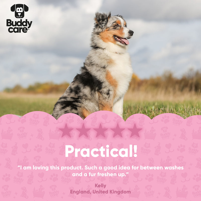 Baby Fresh Waterless Dry Dog Shampoo