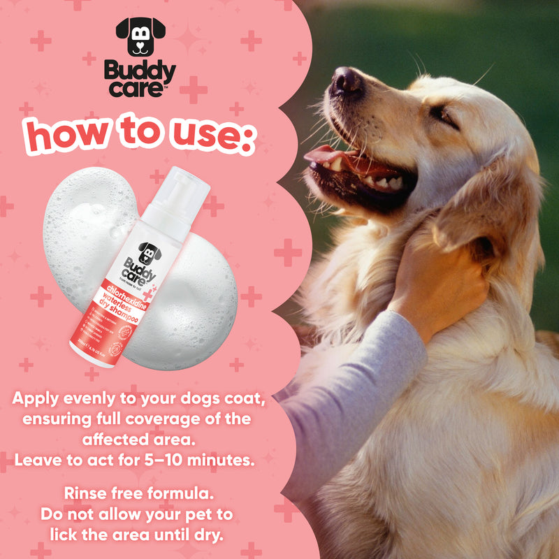 Pet Antiseptic Chlorhexidine Medicated Waterless Dry Dog Shampoo