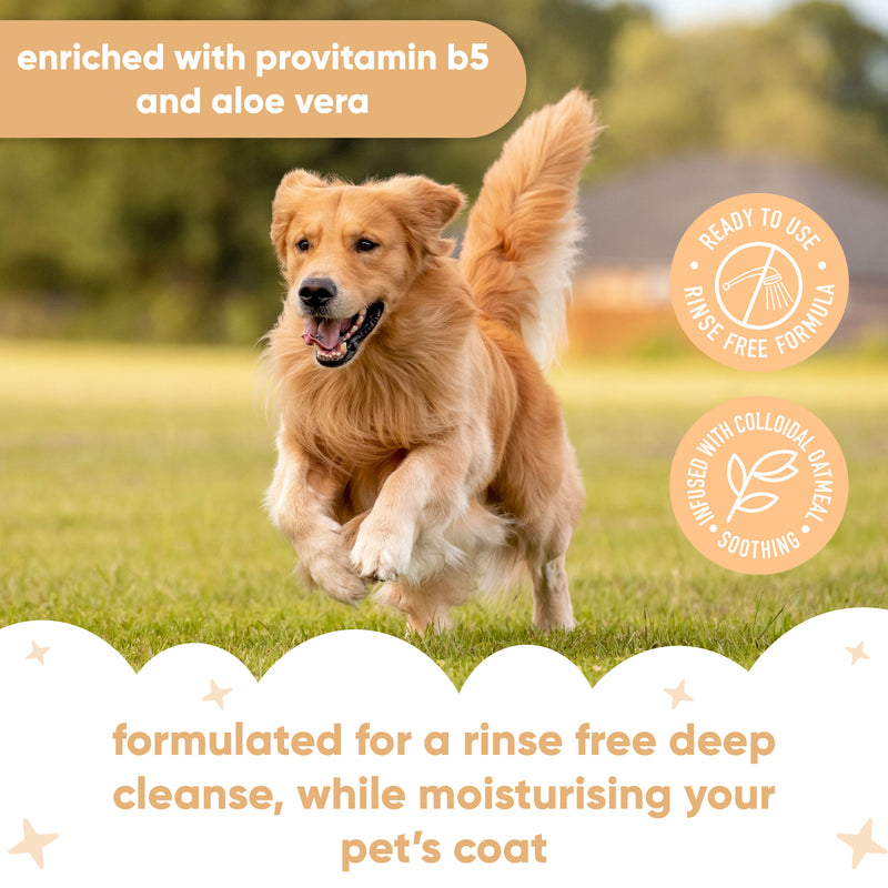 Oatmeal Waterless Dry Dog Shampoo