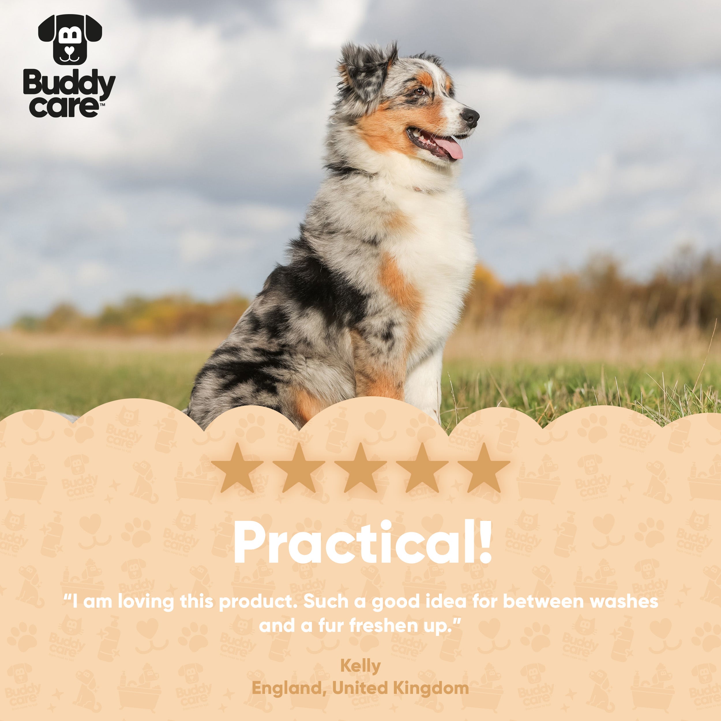 Oatmeal Waterless Dry Dog Shampoo