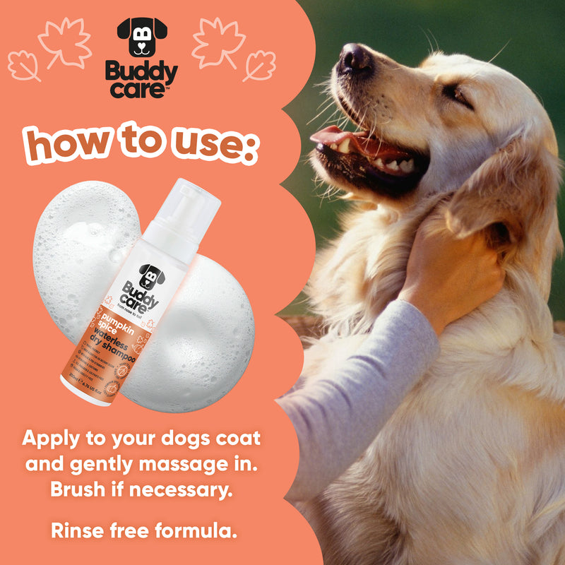 Pumpkin Spice Waterless Dry Dog Shampoo