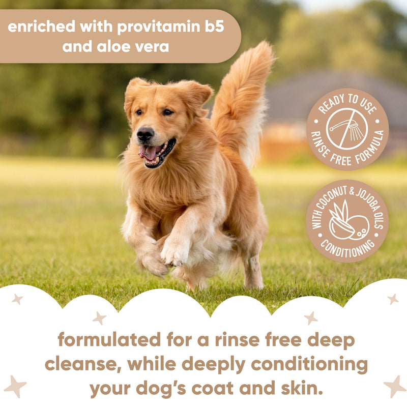 2in1 Conditioning Waterless Dry Dog Shampoo