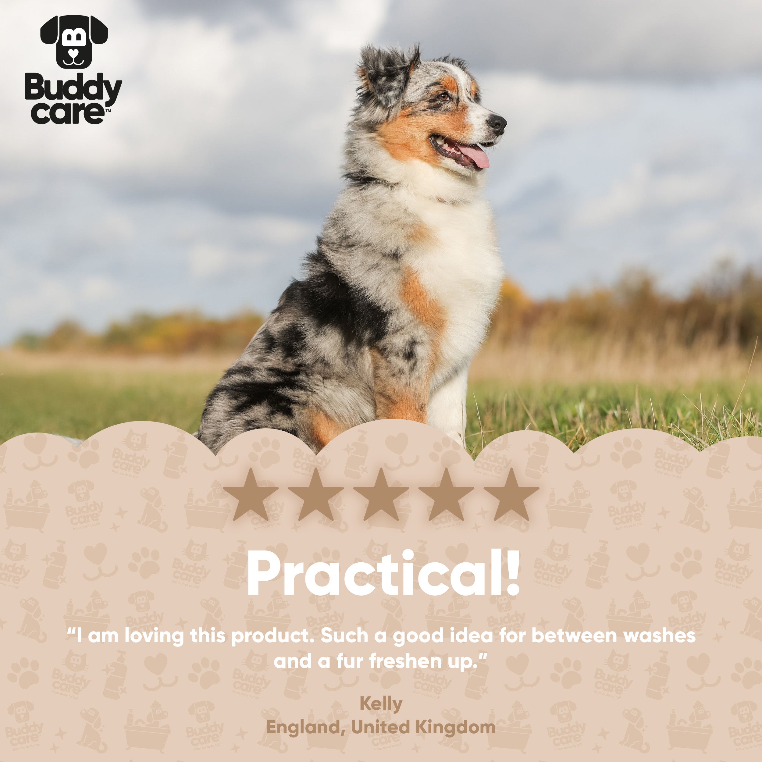 2in1 Conditioning Waterless Dry Dog Shampoo