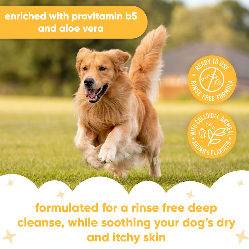 Itch Relief Moisturising Waterless Dry Dog Shampoo