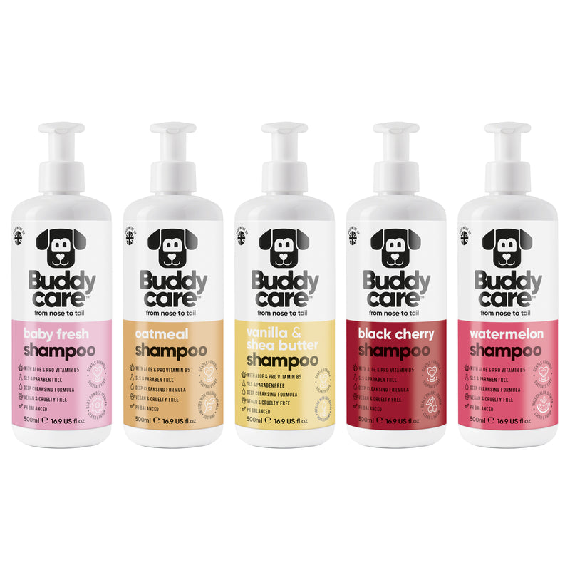 Groomers Scented Dog Shampoo Bundle