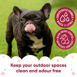 Black Cherry Artificial Grass Cleaner