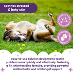 Pet Antiseptic Chlorhexidine Medicated Hot Spot Cleanse & Care Brush