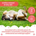 Pet Antiseptic Chlorhexidine Medicated Spray