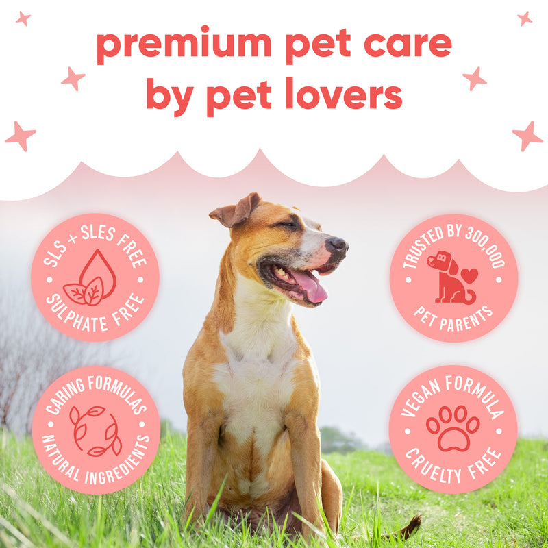 Pet Antiseptic Chlorhexidine Medicated Spray