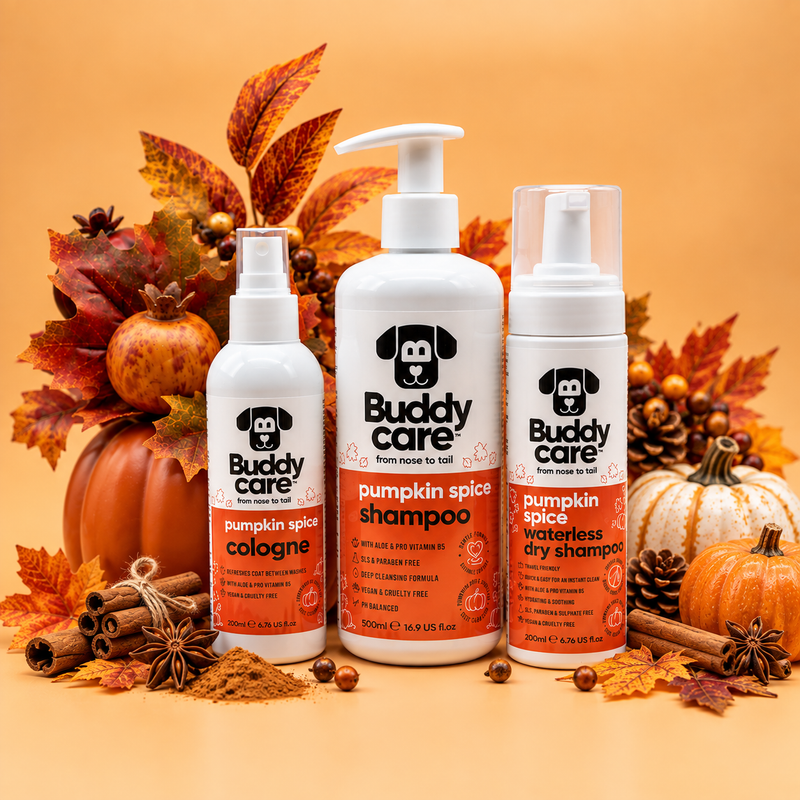 Pumpkin Spice Bundle