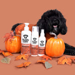 Pumpkin Spice Dog Shampoo