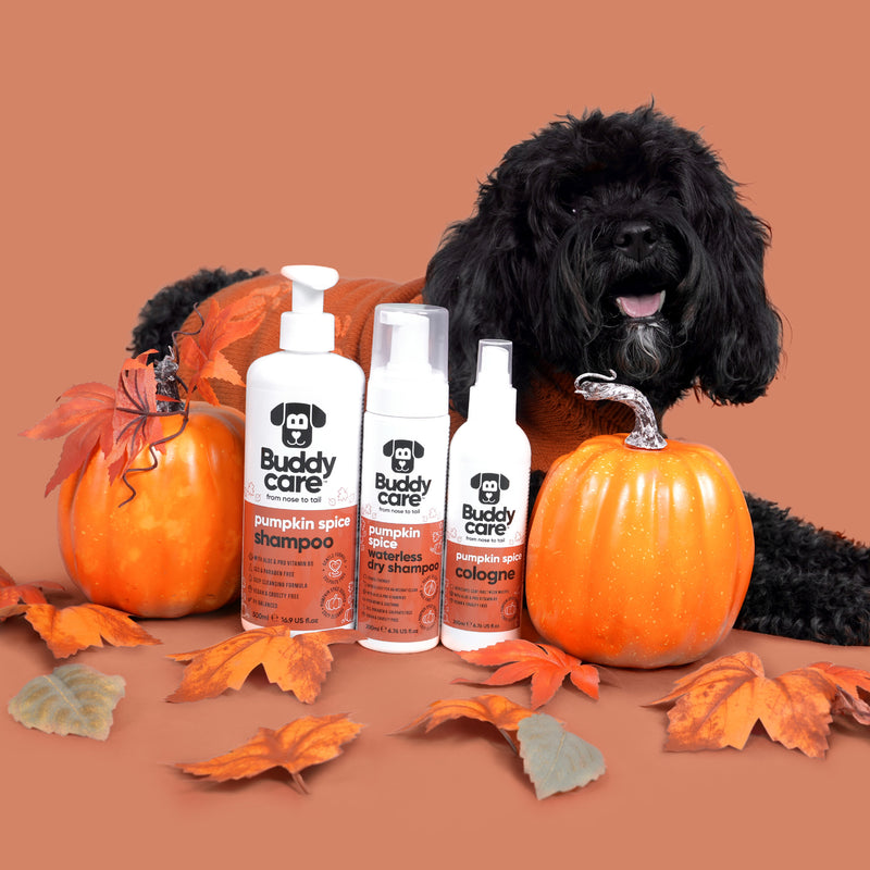 Pumpkin Spice Dog Shampoo